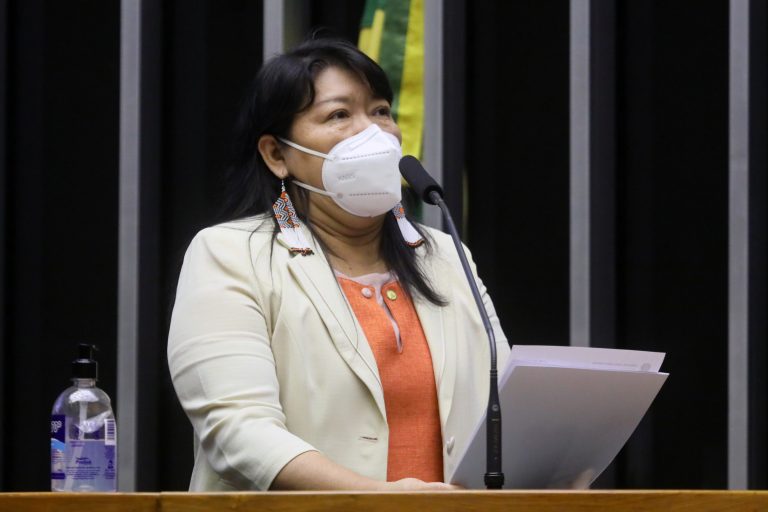 Comissão Geral para tratar da Reforma Eleitoral. Dep. Joenia WapichanaREDE - RR