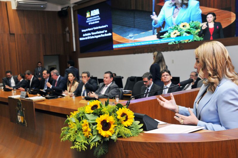 Foto horizontal da entrega do registro do Parque Nacional dos Lençóis Maranhenses. A deputada Iracema Vale está em pé, em primeiro plano à direita, fazendo seu discurso. Ela veste um blazer azul-claro e está gesticulando com as mãos. O microfone está posicionado à sua frente no púlpito de madeira. Diversas autoridades, majoritariamente homens de terno, estão sentadas à longa mesa de madeira em segundo plano, acompanhando o discurso. Um arranjo floral com girassóis está em destaque na frente da mesa e do púlpito. A tela de vídeo no fundo reforça o contexto do evento: Exibe a logomarca da ALEMA e o título da solenidade.
